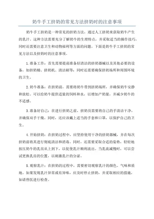 奶牛手工挤奶的常见方法挤奶时的注意事项