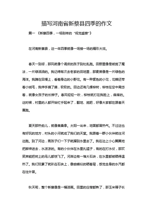 描写河南省新蔡县四季的作文