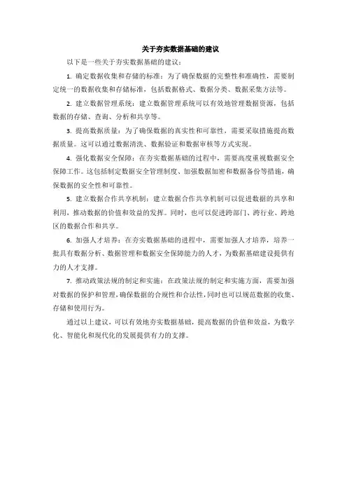 关于夯实数据基础的建议