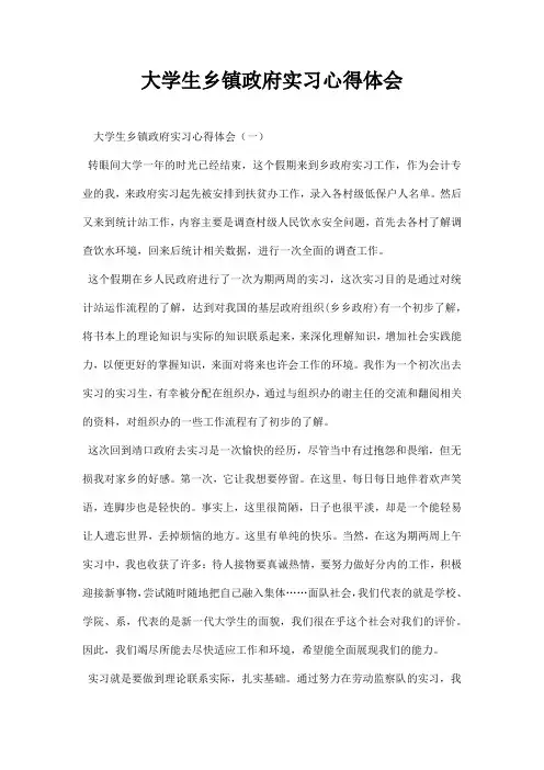 大学生乡镇政府实习心得体会