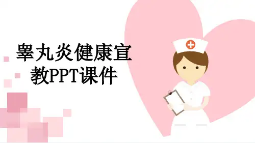 睾丸炎健康宣教PPT课件