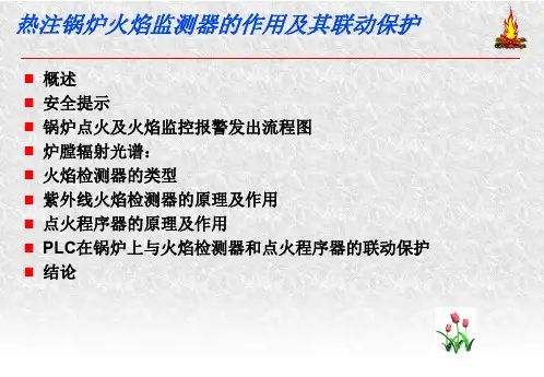 火焰检测原理及应用