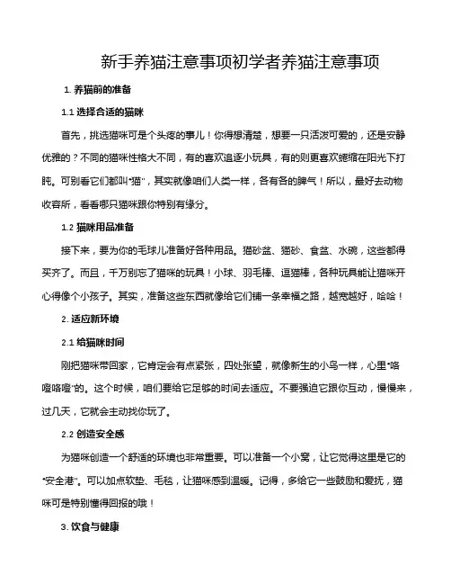 新手养猫注意事项初学者养猫注意事项