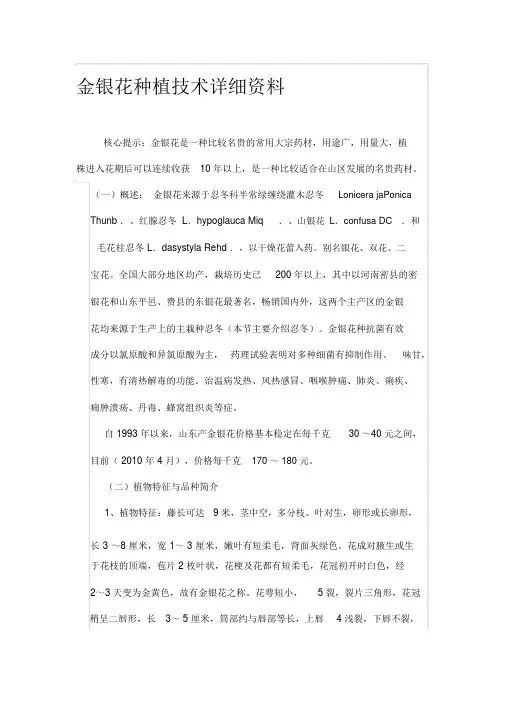 金银花种植技术详细资料