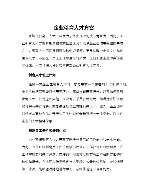 企业引育人才方案