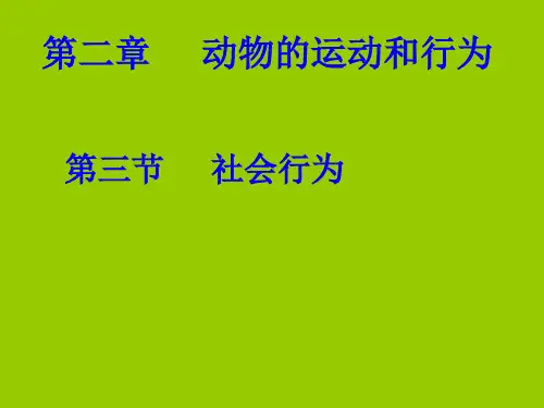 人教版八年级生物上册生物第二章第三节社会行为课件