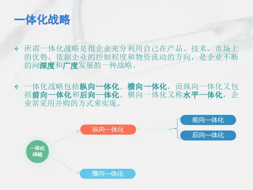 一体化战略解读