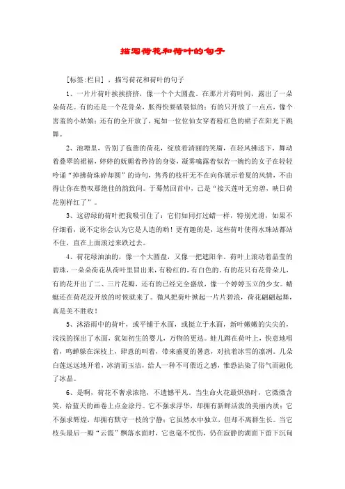 描写荷花和荷叶的句子