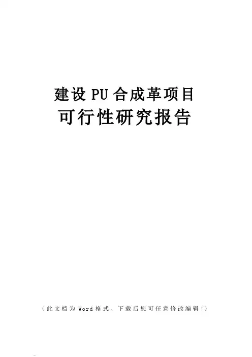 PU合成革建设可行性研究报告