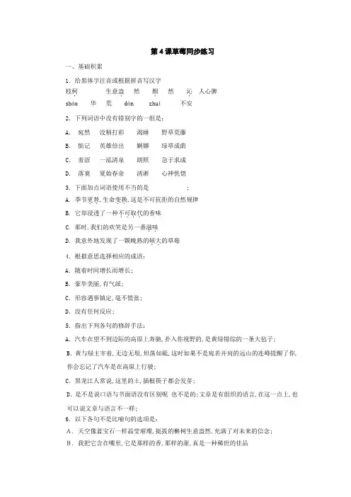 《草莓》同步练习语文版九上