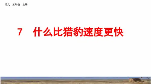 部编版五年级语文上册第二单元第7课《什么比猎豹的速度更快》PPT课件