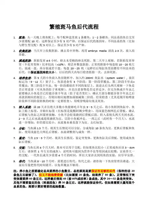 繁殖斑马鱼后代流程
