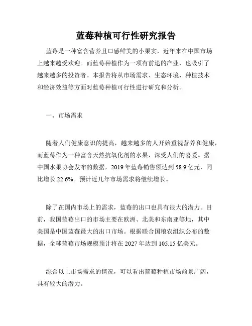 蓝莓种植可行性研究报告