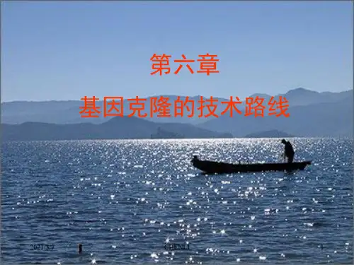 质粒图谱的阅读PPT课件