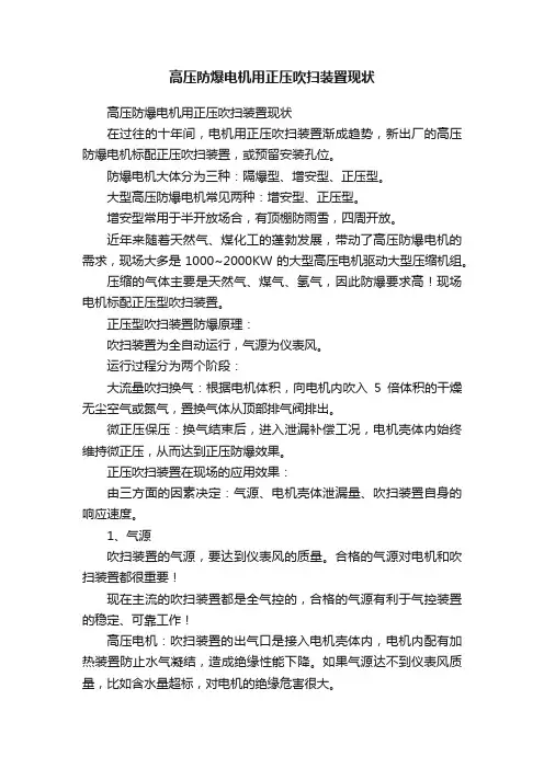 高压防爆电机用正压吹扫装置现状