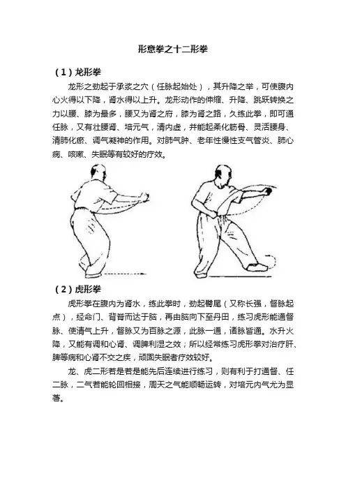形意拳之十二形拳