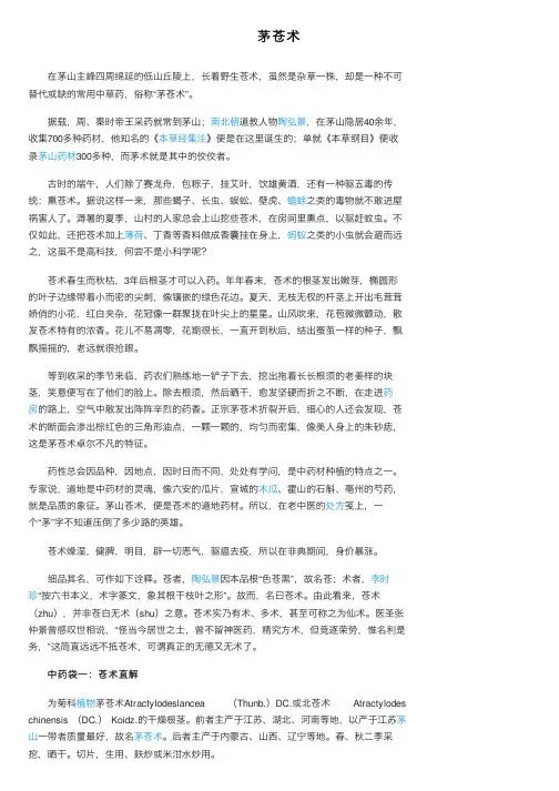 茅苍术——精选推荐