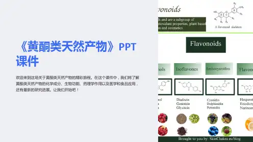 《黄酮类天然产物》课件