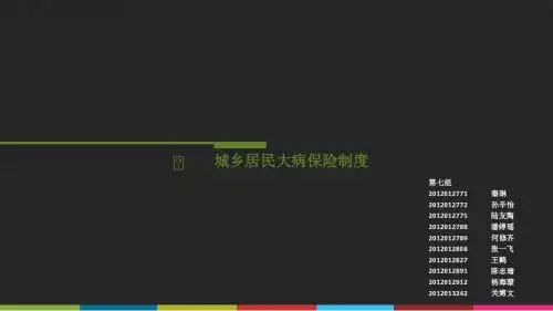 大病保险 课堂展示 财政学
