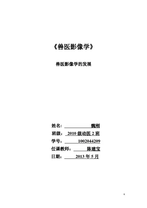 兽医影像学结课论文