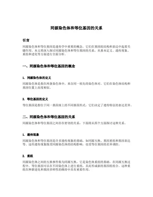 同源染色体和等位基因的关系
