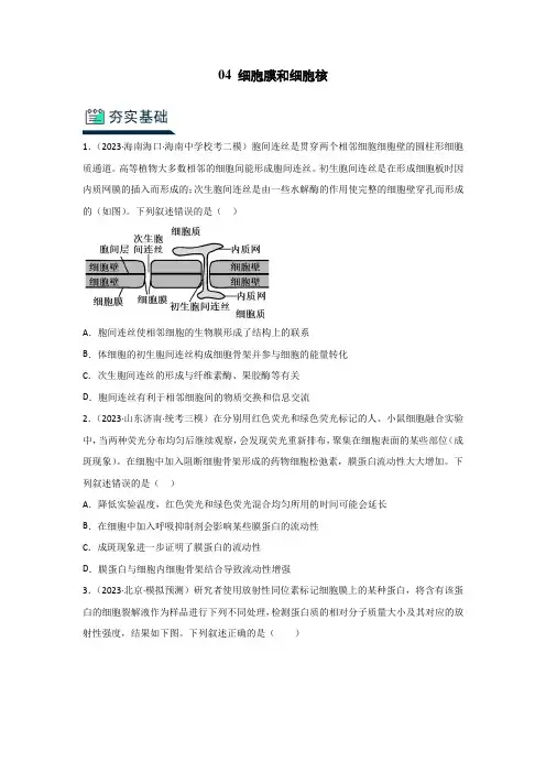 人教版2024年高考化学一轮复习《分层训练04 细胞膜和细胞核》