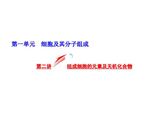 组成细胞的元素及无机化合物