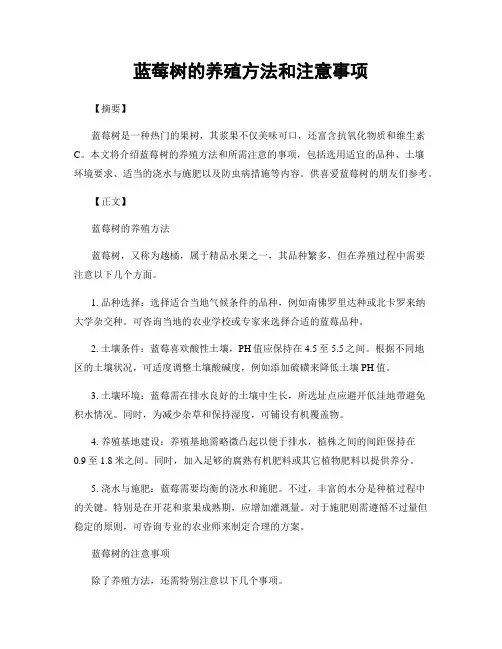 蓝莓树的养殖方法和注意事项
