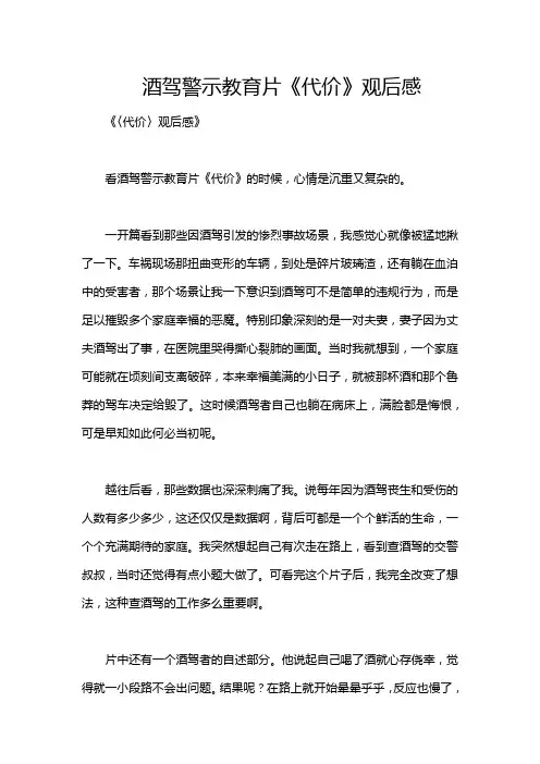 酒驾警示教育片《代价》观后感
