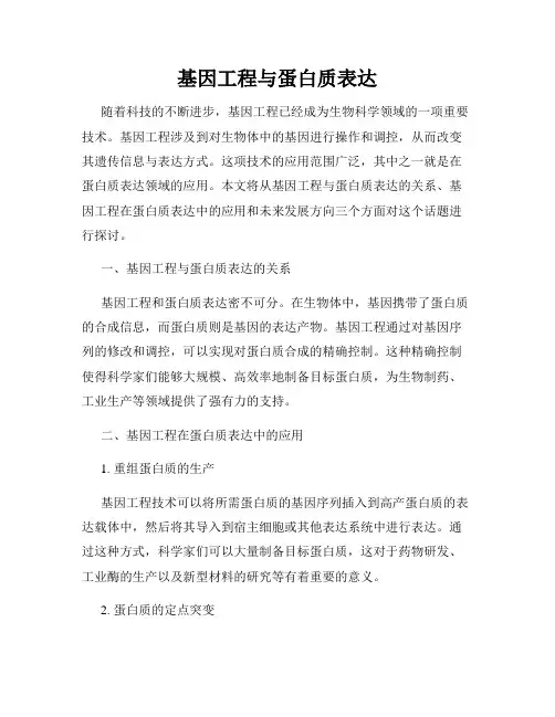 基因工程与蛋白质表达