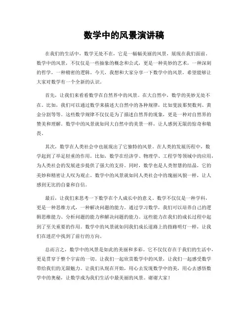 数学中的风景演讲稿