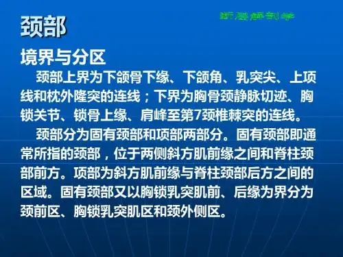 断层解剖学颈部-精品文档