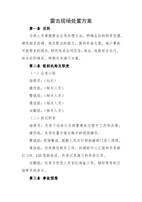雷击现场处置方案