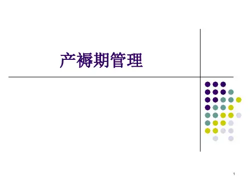 产褥期妇女护理ppt课件