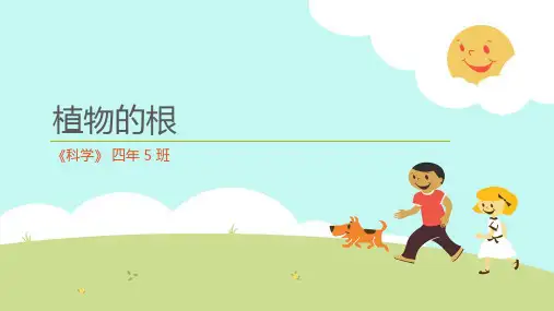小学科学四年级上册《植物的根》