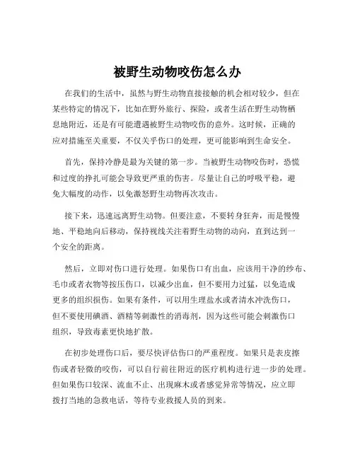 被野生动物咬伤怎么办