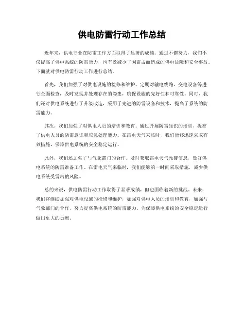 供电防雷行动工作总结
