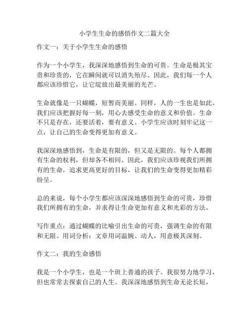 小学生生命的感悟作文二篇大全