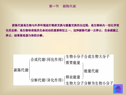 生物氧化与氧化磷酸化