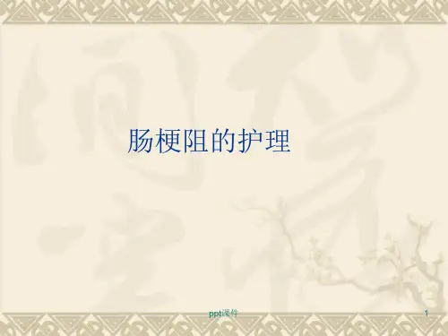 肠梗阻的护理--ppt课件