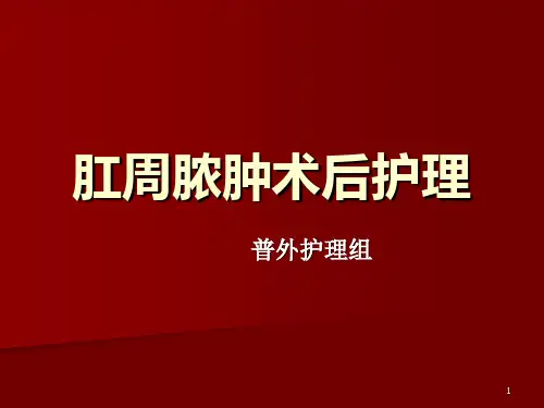 肛周脓肿病人护理PPT课件
