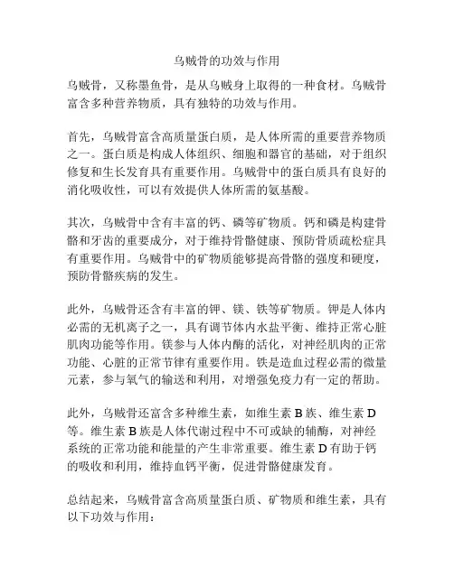 乌贼骨的功效与作用