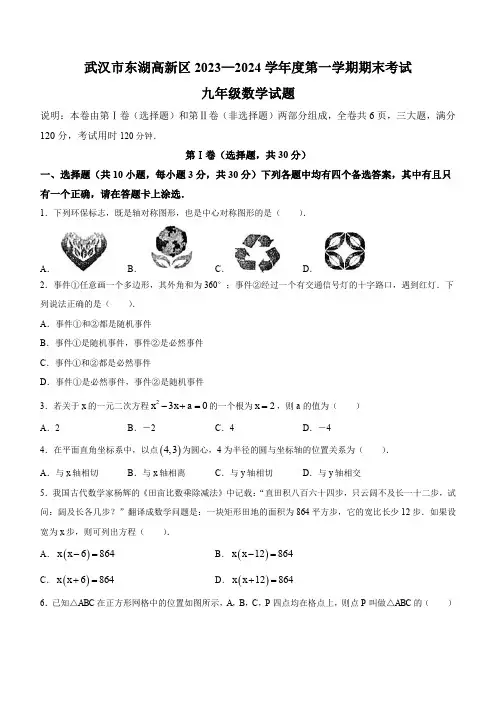 2023-2024学年湖北省武汉市东湖高新区九年级上学期期末数学试卷
