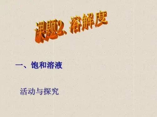 【初中化学】溶解度PPT课件15 人教版