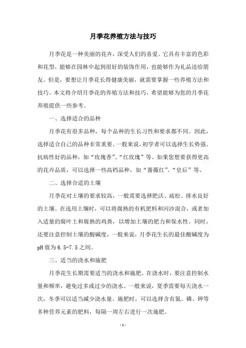 月季花养殖方法与技巧