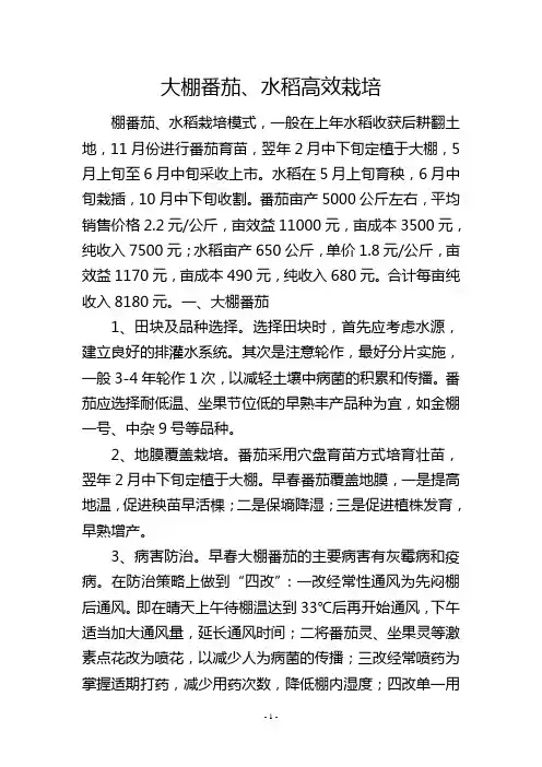 大棚番茄、水稻高效栽培