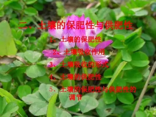 土壤的保肥性与供肥性