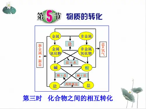 九年级上科学_物质的转化_ppt精美课件浙教版3