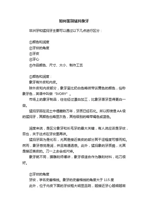如何鉴别猛犸象牙