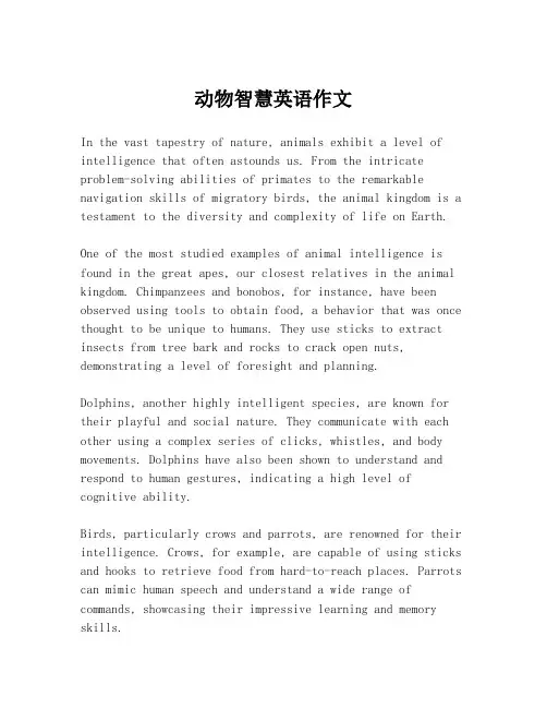 动物智慧英语作文